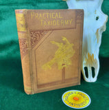 Practical Taxidermy Montagu Browne 1884