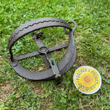 H. Lane Maker Egg Trap