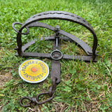 H. Lane Maker Egg Trap