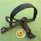 Grell Egg Baited 7” Pole Trap