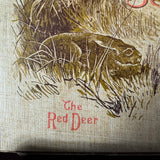 Fur, Feather & Fin Library 5 Volumes