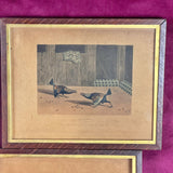 Five Cock Fighting Framed Lithographs 1853 London