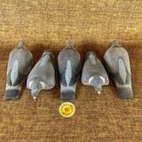 Unique Set of 5 Foster Pigeon Decoys