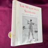 Wildfowler in Scotland by JG Millais, 1974