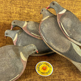 Unique Set of 5 Foster Pigeon Decoys