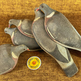Unique Set of 5 Foster Pigeon Decoys