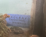 Brown Trout Taxidermy MacLeay of Inverness