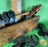 Victorian Bussey Gyro Pigeon Launcher