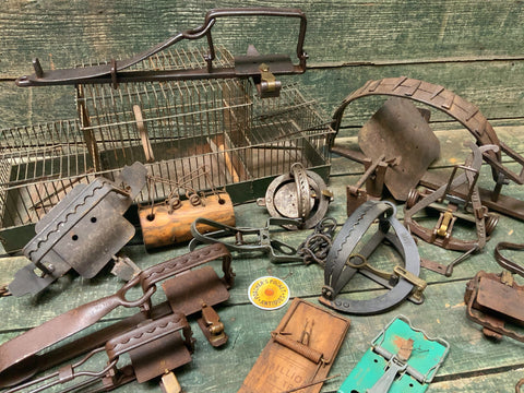 Poacher's Pocket Antiques Traps
