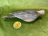 Original Carved Wood Pigeon Decoy