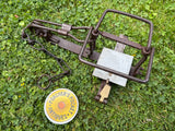 Fine Approved Lloyd Humane Rabbit Trap