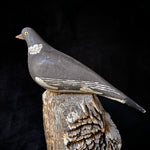 Robert Lange Yorkshire Wooden Pigeon Decoy C1880