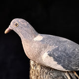 Harry Boddy Kent Wood Pigeon Decoy