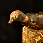 Antique English Wooden Pigeon Decoy (A)