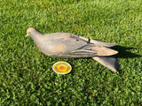 Handsome 1920s Wooden Pigeon Decoy