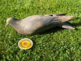 Handsome 1920s Wooden Pigeon Decoy