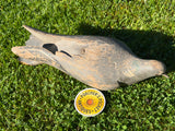 Handsome 1920s Wooden Pigeon Decoy