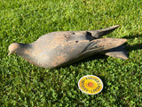 Handsome 1920s Wooden Pigeon Decoy