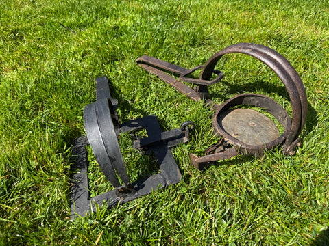 Antique Everitt Patent Vermin Trap by H Lane