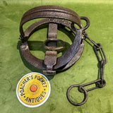 Sidebotham’s GILPA Egg Trap