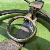 Sidebotham’s GILPA Egg Trap