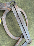 Large Double Spring Gin Trap with 12” Oval Jaws
