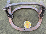 Large Double Spring Gin Trap with 12” Oval Jaws