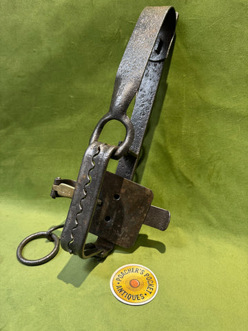 GILPA Brand Large 6” Jaw Gin Trap