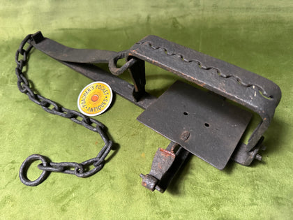 Large 7” Jaw Flat Spring Gin Trap