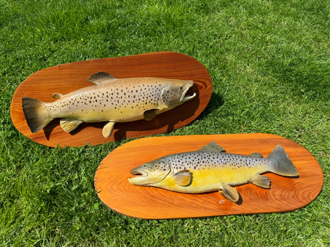 Pair of Hand Painted Brown Trout