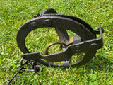 Sidebotham’s GILPA Egg Pole Trap