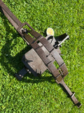 Very Large Georgian Animal/Man Trap 15” Jaws