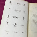 Old Flies in New Dresses 1st Ed 1898 C E Walker