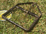 Rare Gripper Simplex Rat/Vermin Trap