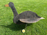 3D Fold-Flat Wildfowling Grey Goose Decoy