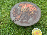1940s Demon Beetle Trap