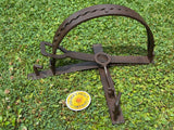 Large 10” Jaw Egg Baited Trap