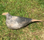 Pair of Yorkshire Pattern Wooden Pigeon Decoys