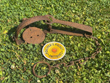 Scarce Gilpa Folder Rabbit Trap