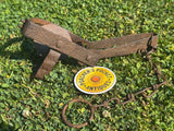 Scarce Gilpa Folder Rabbit Trap