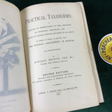 Practical Taxidermy Montagu Browne 1884
