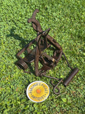 Rare Tube Juby Patent Rabbit Trap