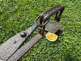 Rare Tildesley Patent Tongueless Gin Trap