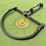 Unusual D-shape Egg Baited Trap