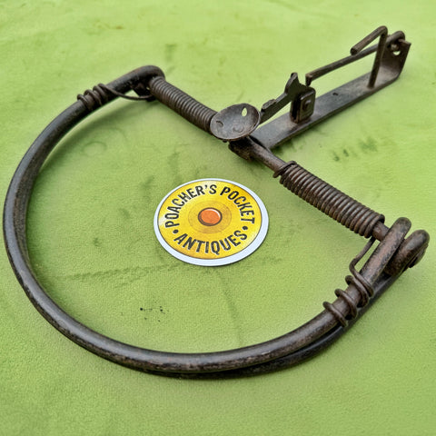 Unusual D-shape Egg Baited Trap