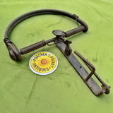 Unusual D-shape Egg Baited Trap