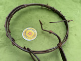 Patent Ring Pike Fish Trap