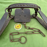 J Roberts Reliance 9” Jaw Folding Spring Trap