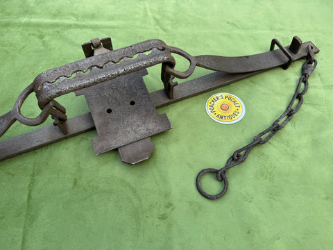 Bellamy’s CB 8” jaw Double Spring Trap