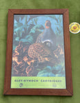 Pair of Original Eley Kynoch Cartridges Showcards